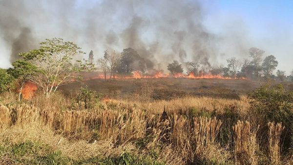 Alto Paraná registra varios focos de incendio