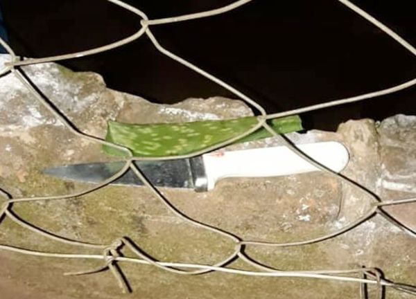 Encuentro en Itakyry terminó con un herido de arma blanca - ABC en el Este - ABC Color