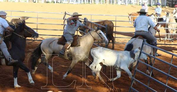 La Nación / Caballos criollos y jinetes demostraron aptitudes y destrezas en la Expo Ganadera