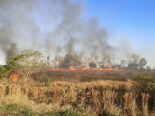 Alto Paraná registra varios focos de incendio