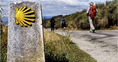La Nación / El camino sobre el destino