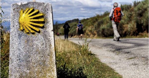 La Nación / El camino sobre el destino