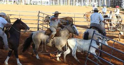 La Nación / Caballos criollos y jinetes muestran aptitudes y destrezas en la Expo