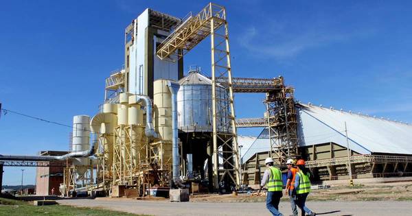 La Nación / Sector agroindustrial experimenta la mayor caída de los últimos 9 años