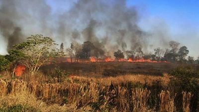 Incendios se reportaron en varias zonas del Alto Paraná