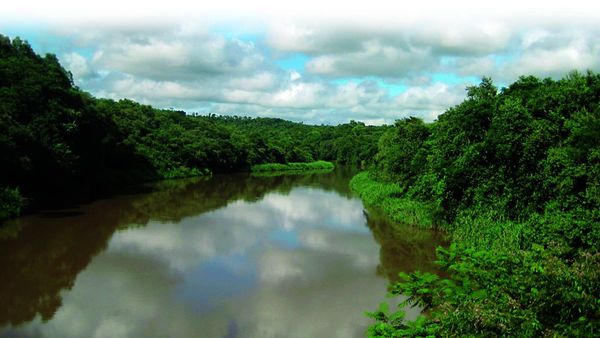 Carapã atesora una rica vegetación con más de 300 especies de animales