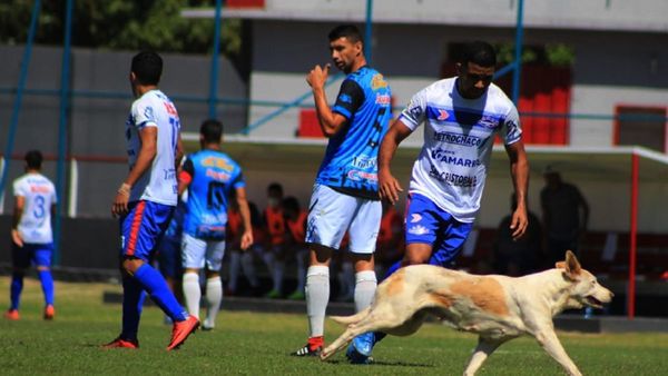 A cara de perro  se pone la Intermedia