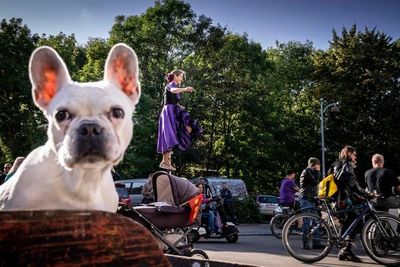 Christiania, comuna libre de Copenhague, cumple 50 años de experimento social - Mundo - ABC Color
