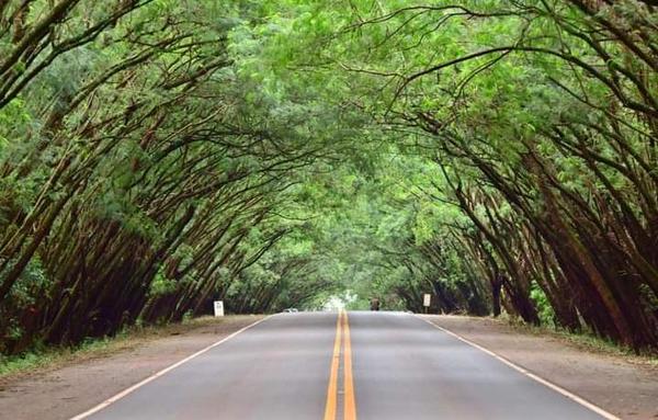 Sector turismo celebrará su Día Mundial camino hacia la recuperación