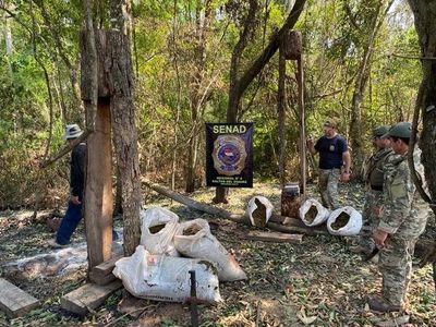 Canindeyú: desarticulan campamento narco y eliminan más de 12 toneladas de marihuana - Nacionales - ABC Color