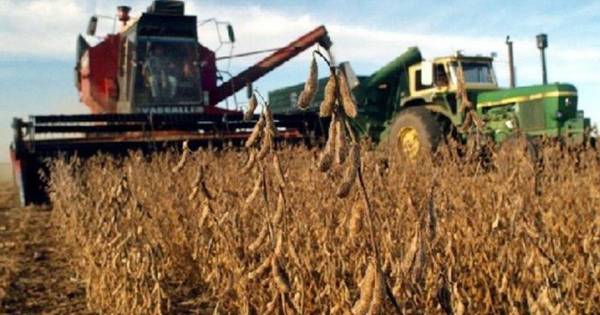 La Nación / Argentina adquirió el 71% de las exportaciones de soja producida en Paraguay