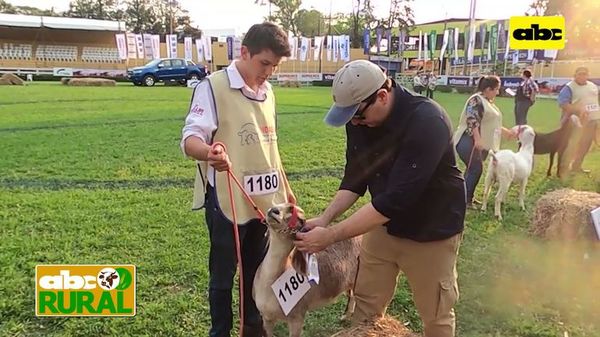 ABC Rural: Cabras en la Expo Ganadera 2021 - ABC Rural - ABC Color