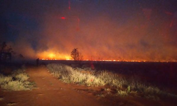 Ardieron más 15 hectáreas de las reservas de la Ande y de la Itaipú en Hernandarias – Diario TNPRESS