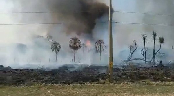 QUEMA ILEGAL DE PASTIZALES CAUSANDO ESTROPICIOS - La Voz del Norte