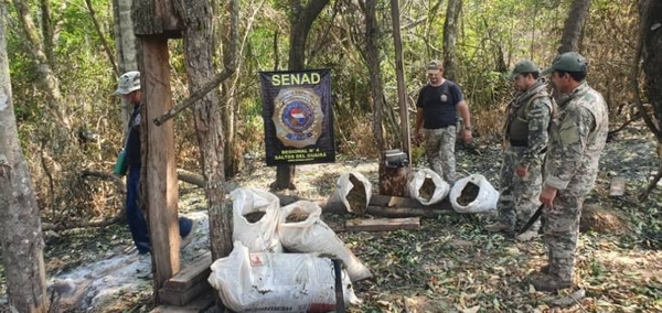 Diario HOY | Hallan 12 toneladas de marihuana en campamento narco