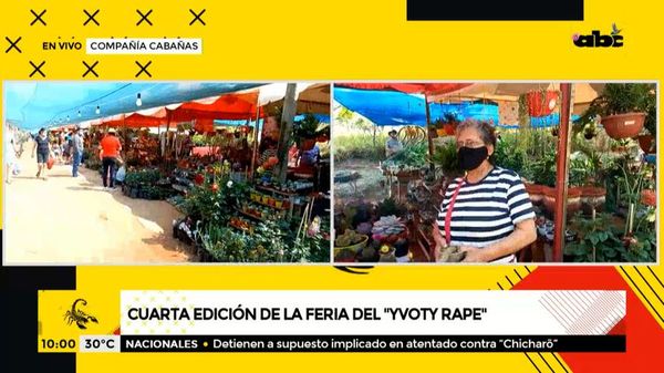 Invitan a la cuarta edición de la feria “Yvoty Rape” en Cabañas, Cordillera - A la gran 730 - ABC Color