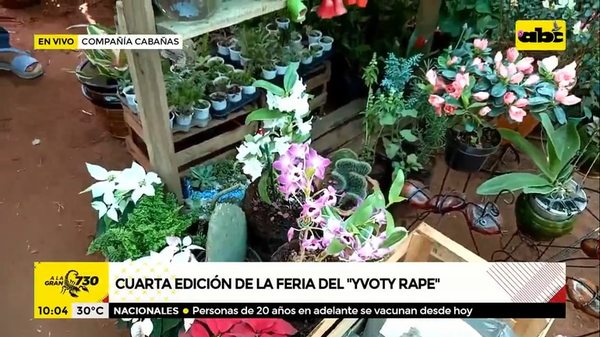 Caacupé: invitan a cuarta Edición de la Feria del “Yvoty Rape” en Cabañas - A La Gran 7-30 - ABC Color