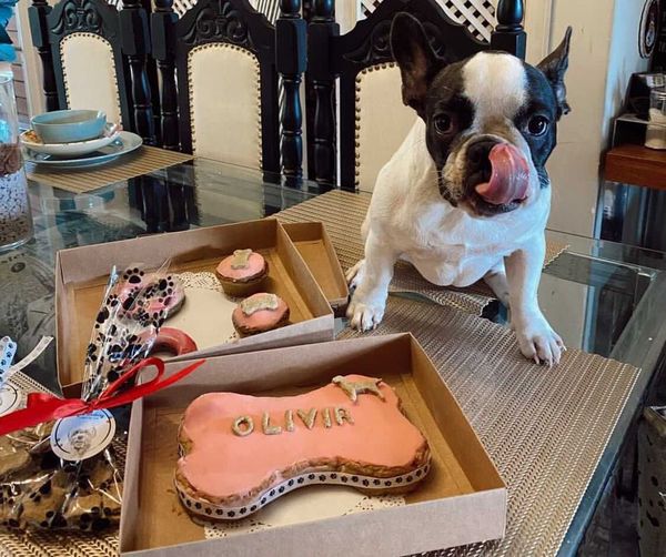 Benji’s Bakery: para festejar la vida de tu compañero incondicional