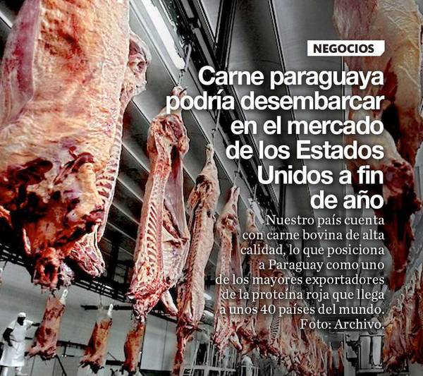 Carne paraguaya podría desembarcar en el mercado de los Estados Unidos a fin de año