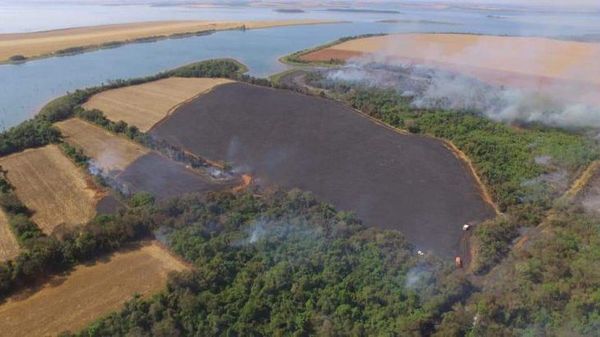 Arde Paraguay: Incendios no dan tregua y se recrudece la ola de calor