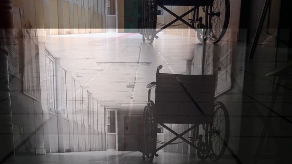 Muestra de carácter multidisciplinario
