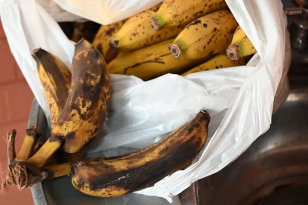 MEC entrega kits de alimentos y hay nuevos reclamos sobre calidad de productos  - Nacionales - ABC Color