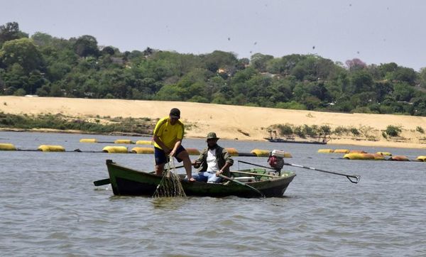 Bajante extrema: Mades pide suspender temporalmente la extracción de peces - Nacionales - ABC Color