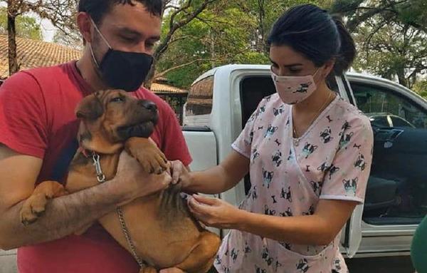 Preparan jornada de vacunación antirrábica gratuita para mascotas