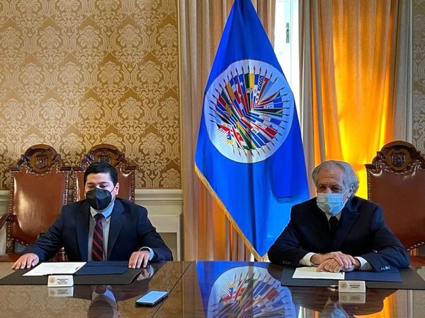 Misión de OEA observará elecciones municipales de Paraguay - Nacionales - ABC Color