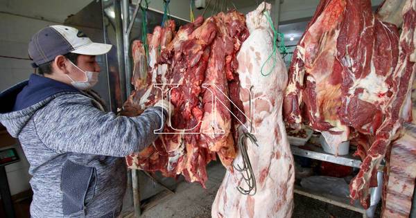 La Nación / Varios factores ocasionaron suba de la carne: “Se armó una tormenta perfecta”, afirman