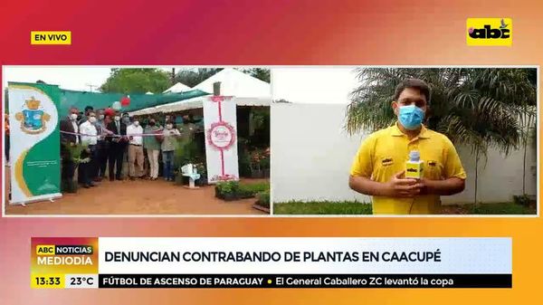 Denuncian contrabando de plantas en Caacupé - ABC Noticias - ABC Color