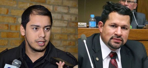 Misión de la OEA observará las elecciones municipales – Diario TNPRESS