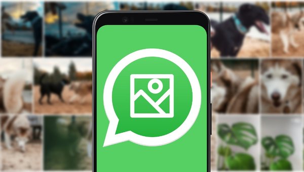 WhatsApp: Te mostramos cómo eliminar esas molestosas imágenes repetidas que ocupan lugar en tu celular » San Lorenzo PY