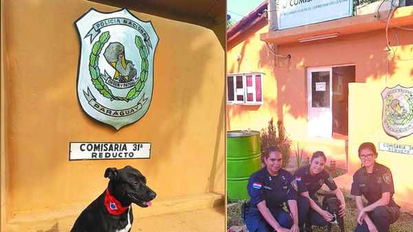 Chocha, la perrita guardiana de los polis