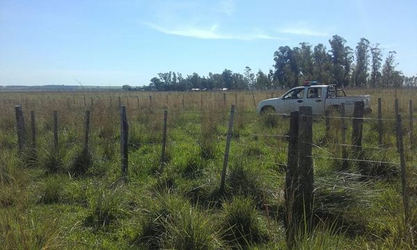 San Ignacio: Denuncian faltante de más de 170 vacunos, capataz se suicidó