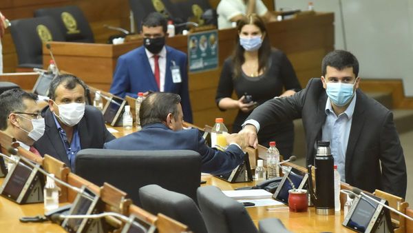 Hoy sancionan controversial criminalización de invasiones