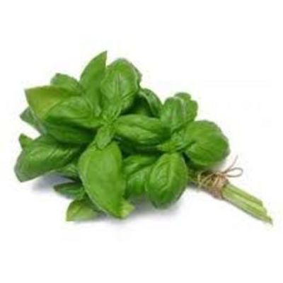 Albahaca, potente antioxidante natural - Estilo de vida - ABC Color