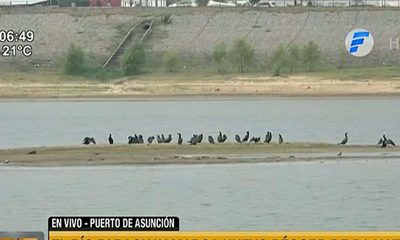 Bajante del río Paraguay afecta navegabilidad | Telefuturo