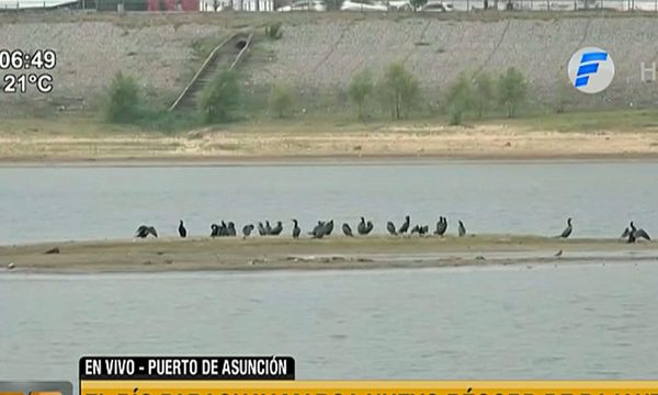Bajante del río Paraguay afecta navegabilidad | Telefuturo