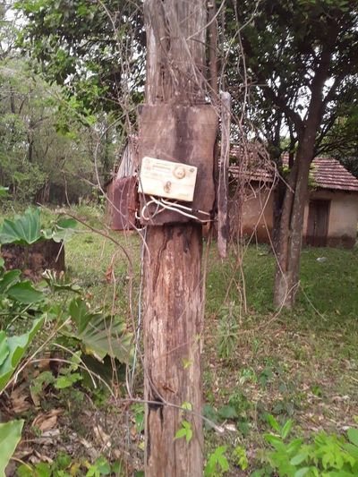 Autoridades tienen tarifa social de ANDE a pesar de no ser de escasos recursos - Nacionales - ABC Color