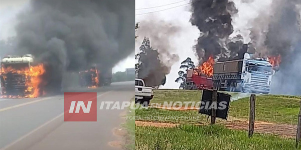 MANIFESTACIONES ANTI LEY DE INVASIONES: VIOLENCIA SE TRASLADA HACIA EL INTERIOR DEL PAÍS