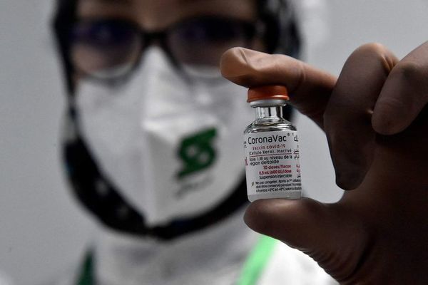 OPS anuncia acuerdo con Sinovac para ofrecer más vacunas en América - Mundo - ABC Color