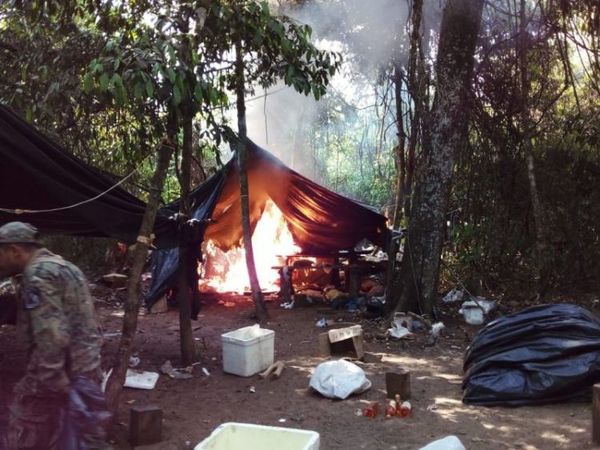 Destruyen marihuana en Yby Yaú