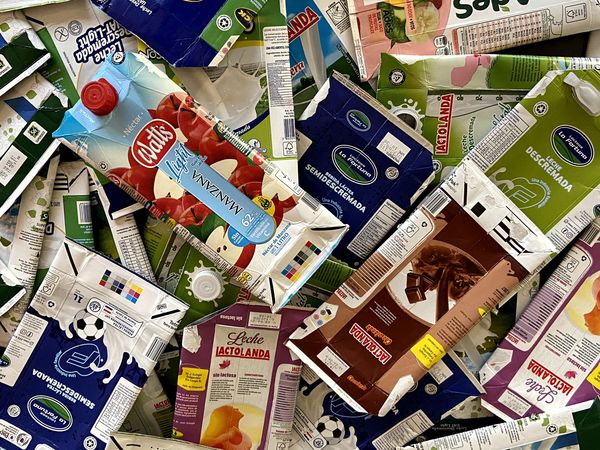 Paraguay ingresa a mapa de reciclaje de envases de Tetra Pak y proceso industrial arrancará este año - MarketData