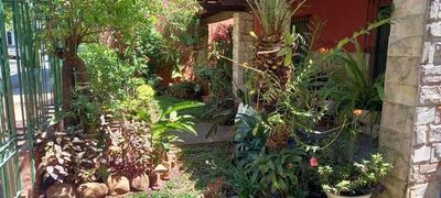 Comuna fernandina va a premiar a los jardines más lindos - Nacionales - ABC Color