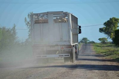 A causa de Brasil, el precio del Novillo Mercosur bajó hasta US$ 3,75 a la carne
