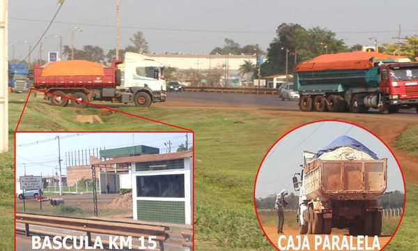 “Caja móvil” de la báscula sigue vigente y recaudación es probolsillo – Diario TNPRESS