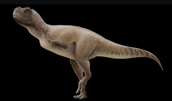 ¿Hay restos de dinosaurios en Paraguay?