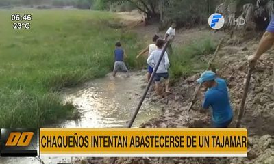 Chaqueños intentan abastecerse de un tajamar | Telefuturo