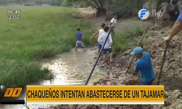 Chaqueños intentan abastecerse de un tajamar | Telefuturo
